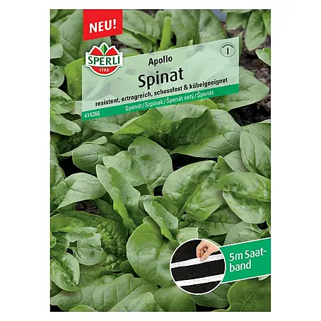 Sperli  Gemüsesamen Spinat Apollo