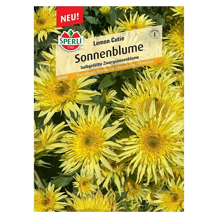 Sperli Blumensamen Sonnenblume Lemon Cutie (Helianthus annuus 'Lemon Cutie', Zitronengelb) | BAUHAUS