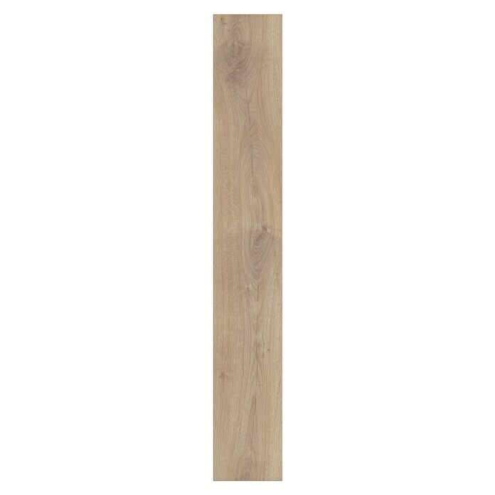 Krono Original Laminatmuster Atlantic 8 Biscotti Oak (297 x 192 x 8 mm, Landhausdiele, Biscotti Oak) | BAUHAUS