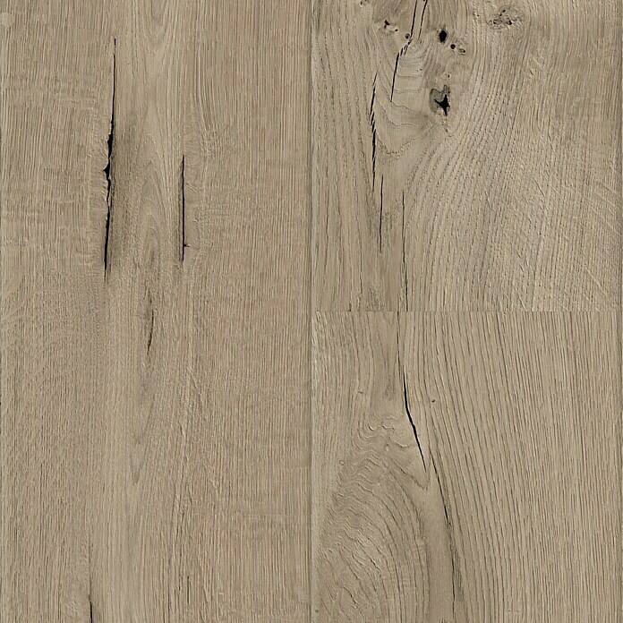 Krono Original Laminatmuster Organic Veneer Parquet Wildeiche grau (297 x 244 x 8,5 mm, Landhausdiele, Wildeiche grau) | BAUHAUS