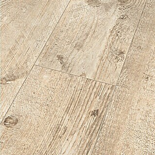 Classen Laminat 831-4 (1.286 x 194 x 8 mm, Landhausdiele, Pine Light beige)