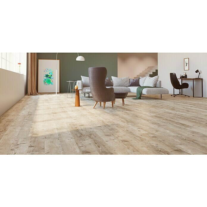 Classen Laminat 831-4 (1.286 x 194 x 8 mm, Landhausdiele, Pine Light beige) | BAUHAUS