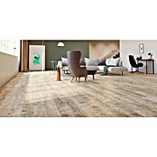 Classen Laminat 831-4 (1.286 x 194 x 8 mm, Landhausdiele, Pine Light beige) | BAUHAUS