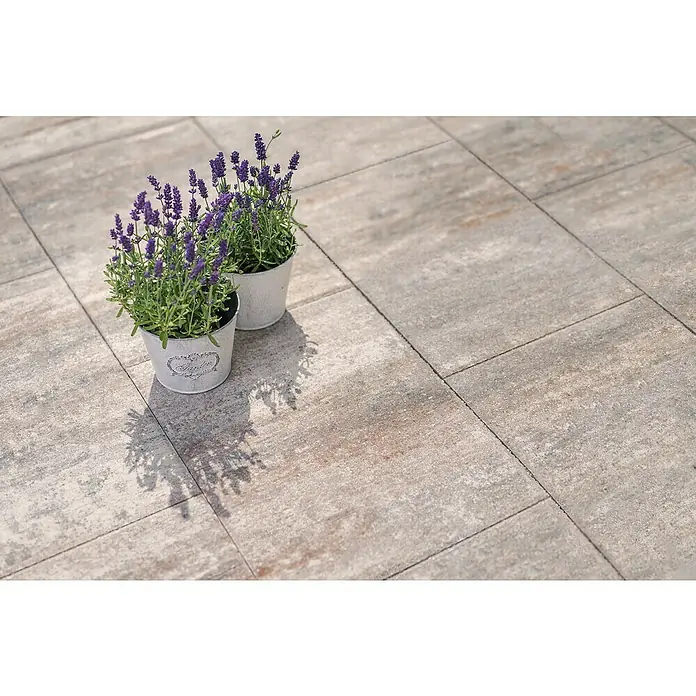 Diephaus Terrassenplatte Memphis - 60 x 40 x 4 cm, Muschelbraun, Beton - Zwei Töpfe Lavendel mit herzförmigen Verzierungen stehen auf einem grau-beigen Steinboden und werfen Schatten. Die violetten Blüten erstrahlen auf den Töpfen.