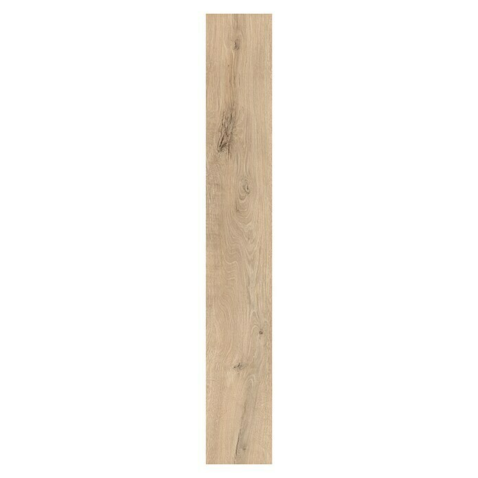 Classen Laminat 831-4 (1.286 x 194 x 8 mm, Landhausdiele, Oak Rustic beige) | BAUHAUS