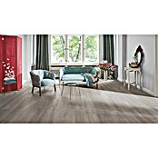 Parador Laminatmuster Basic 200 Eiche lichtgrau (200 x 194 x 7 mm, Landhausdiele) | BAUHAUS