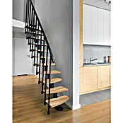 Atrium Raumspartreppe Mini Plus Vertical (Farbton Metall: RAL 9005, Breite: 60 cm, Eiche, Geschosshöhe: 222 cm - 300 cm) | BAUHAUS