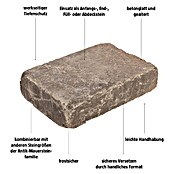 EHL Mauerstein Times Antik M (30 x 20 x 7 cm, Muschelkalk, Beton) | BAUHAUS