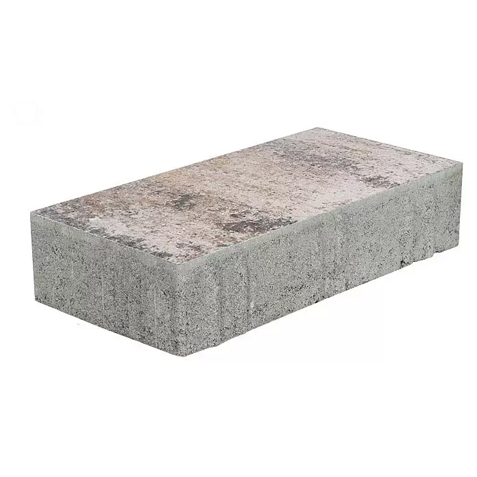 EHL Pflasterstein Cortona - Muschelkalk, 30 x 20 x 8 cm, Rechteckig - Rechteckiger Pflasterstein mit grauer Basis und melierter, strukturierter Oberfläche in Beige-, Braun- und Grautönen.