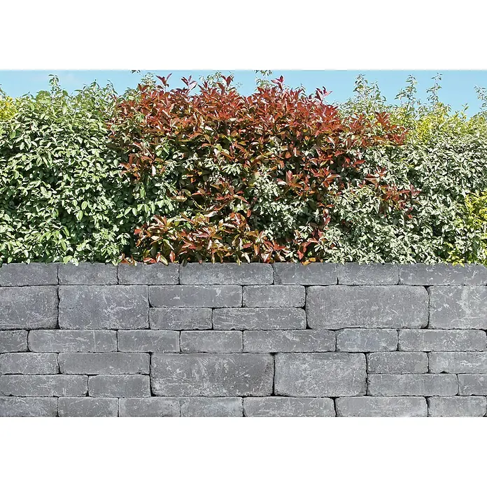 EHL Mauerstein Times Antik M - 30 x 20 x 7 cm, Anthrazit, Beton - Die graue Steinmauer bietet einen rustikalen Hintergrund für die üppige grüne und rote Hecke. Ein robuster und naturnaher Gartenzaun.