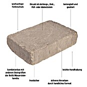 EHL Mauerstein Times Antik M (30 x 20 x 7 cm, Grau/Anthrazit, Beton) | BAUHAUS