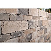 EHL Mauerstein Times Antik XL (30 x 20 x 14 cm, Muschelkalk, Beton) | BAUHAUS