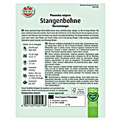 Sperli Gemüsesamen Stangenbohnen (Phaseolus vulgaris, Saatzeit: Mai, Erntezeit: Juli) | BAUHAUS