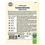 Sperli Blumensamen Sonnenblumen King Kong (Helianthus annuus, Gelb, Saatzeit: März, Blütezeit: August) | BAUHAUS