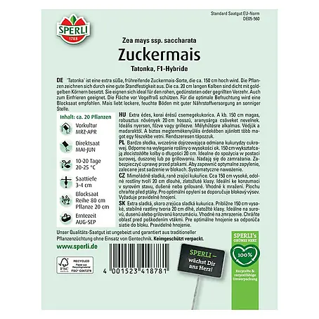 künstliches gebiss kaufen Anpassung & Stabilisierung für Zahnprothesen | Gebisse Universal main image 1