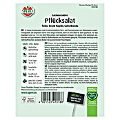 Sperli Salatsamen Pflücksalat (Lactuca sativa, Erntezeit: Mai) | BAUHAUS