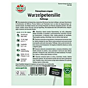 Sperli Gemüsesamen Wurzelpetersilien (Petroselinum crispum, Saatzeit: März, Erntezeit: Juli) | BAUHAUS