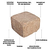 EHL Mauerstein Times Antik L (20 x 20 x 14 cm, Muschelkalk, Beton) | BAUHAUS