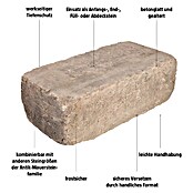 EHL Mauerstein Times Antik XXL (40 x 20 x 14 cm, Muschelkalk, Beton) | BAUHAUS