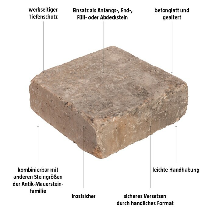 EHL Mauerstein Times Antik S (20 x 20 x 7 cm, Muschelkalk, Beton) | BAUHAUS