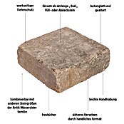 EHL Mauerstein Times Antik S (20 x 20 x 7 cm, Muschelkalk, Beton) | BAUHAUS