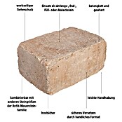 EHL Mauerstein Times Antik XL (30 x 20 x 14 cm, Muschelkalk, Beton) | BAUHAUS