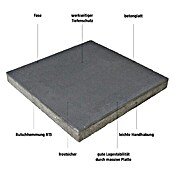 EHL Gehwegplatte (Anthrazit, 50 x 50 x 5 cm, Beton)