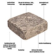 EHL Mauerstein Times Antik S (20 x 20 x 7 cm, Anthrazit, Beton) | BAUHAUS