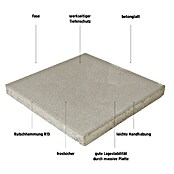 EHL Gehwegplatte (Grau, 50 x 50 x 5 cm, Beton)
