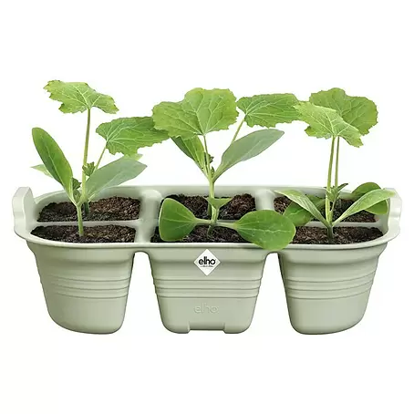 Elho Green Basics Anzuchttopf