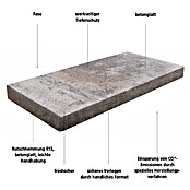 EHL Terrassenplatte Cevo (50 x 25 x 4 cm, Muschelkalk, Beton) | BAUHAUS