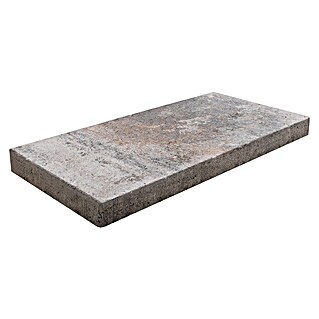 EHL Terrassenplatte Cevo (50 x 25 x 4 cm, Muschelkalk, Beton)