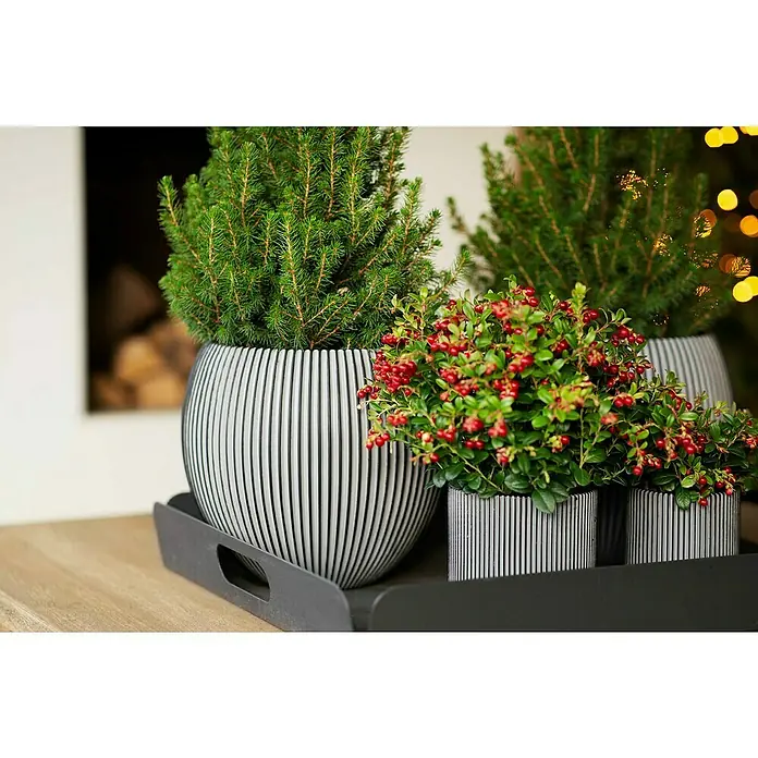 VR7 2x Großer Übertopf Aus Kunststoff – Rund, Graphit, 38 Cm Durchmesser, Für Garten, Balkon & Innenbereich