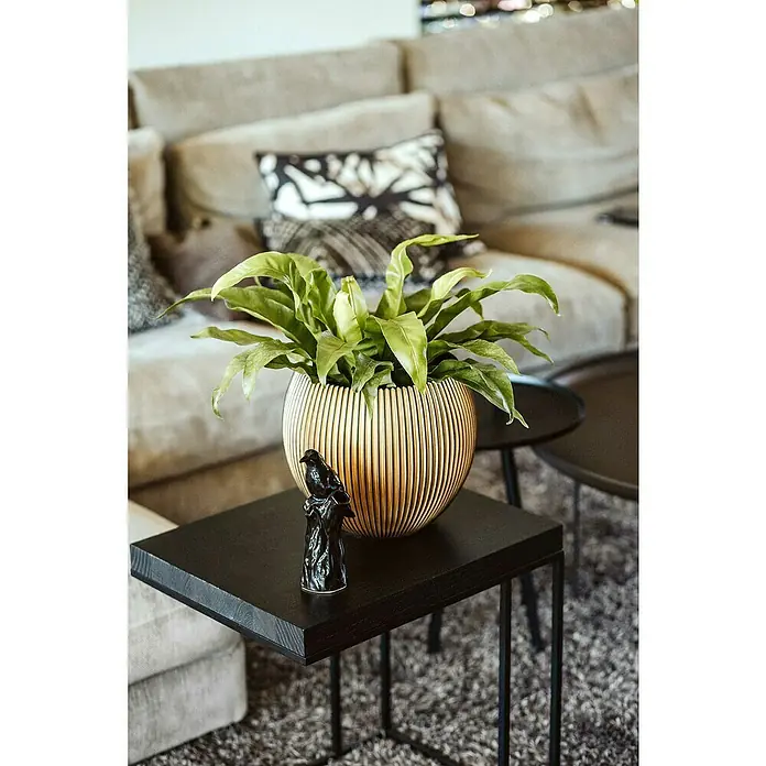 Capi Europe Übertopf rund Nature Groove - Außenmaß (Ø x H): 21 x 19 cm, Schwarz/Gold, Polyester - Dekorative Zimmerpflanze in einem goldenen Topf auf einem schwarzen Tisch, neben einer kleinen Vogelstatuette.