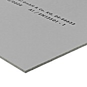 Knauf Zementfaserplatte Aquapanel® Universal DIY (Hellgrau, B x L: 800 x 1 200 mm, Zement) | BAUHAUS
