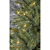 Künstlicher Weihnachtsbaum Bristlecone LED (Höhe: 185 cm)