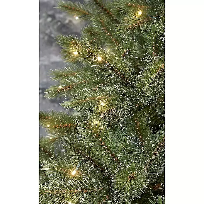 Künstlicher Weihnachtsbaum Bristlecone LED - Höhe: 185 cm, Grün, LED-Beleuchtung - Nahaufnahme eines vorbeleuchteten künstlichen Weihnachtsbaums mit grünen, gefrosteten Tannennadeln und warmweißen LED-Lichtern.