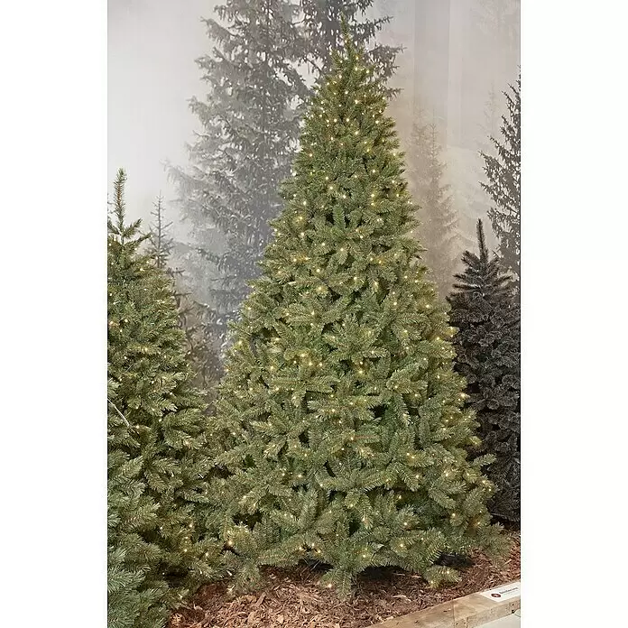 Künstlicher Weihnachtsbaum Bristlecone LED - Höhe: 185 cm, Grün, LED-Beleuchtung - Grüner künstlicher Weihnachtsbaum, mit warmweißen LED-Lichtern vor anderen Kunstbäumen ausgestellt.