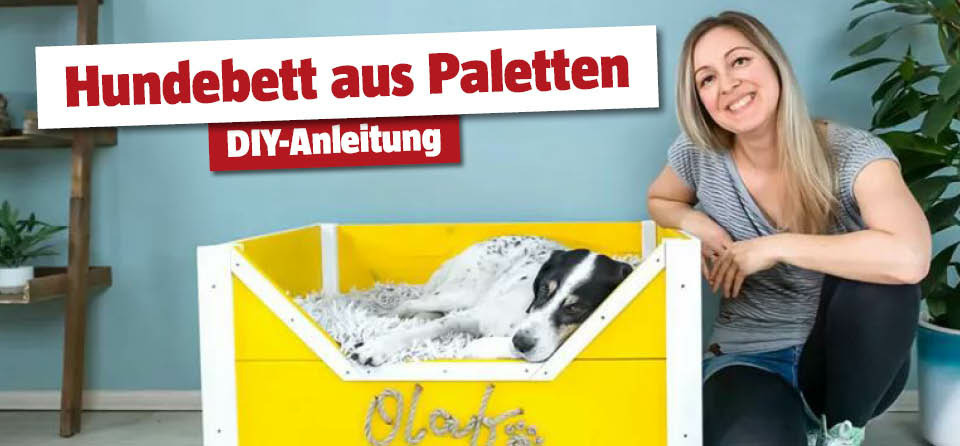 DIY Hundebett aus Paletten