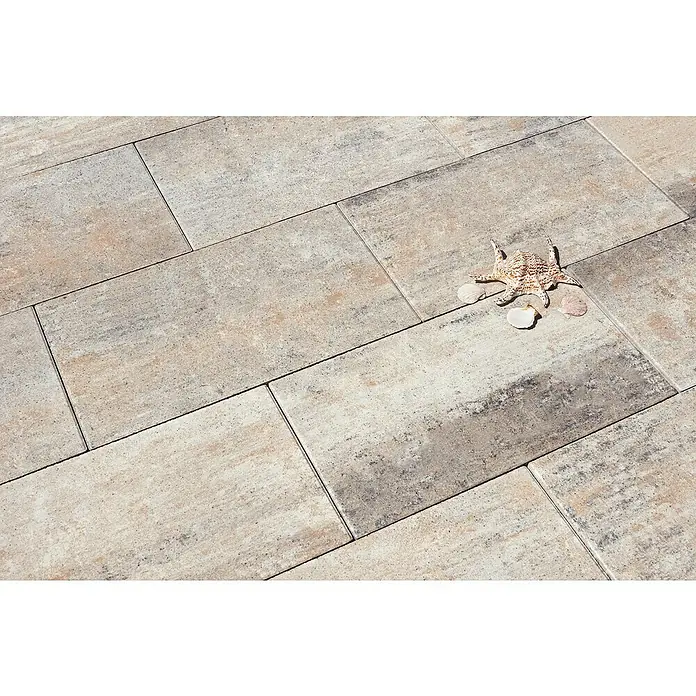 Diephaus Terrassenplatte Dover - 60 x 40 x 4 cm, Muschelkalk, Beton - Nahaufnahme eines beigen Pflastersteins mit Muscheln und einem Seestern, ideal für Außenbereiche und Gartenwege.