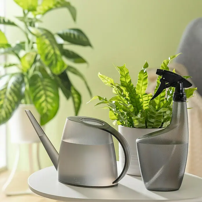 Scheurich Smilla Handsprüher - 0,7 l, Clear Platin - Graue Gießkanne und Sprühflasche auf einem Tisch, umgeben von Zimmerpflanzen, ideal für die Zimmerpflanzenpflege.