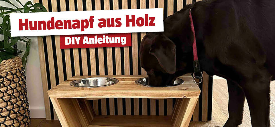DIY Hundenapf