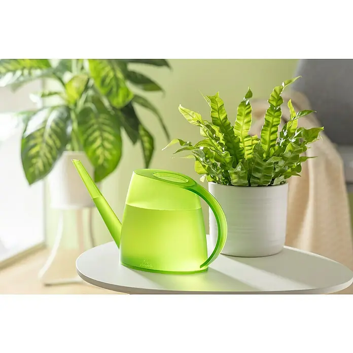 Scheurich Gießkanne Lilly - Clear Lime, 1,5 l - Eine grüne Gießkanne gefüllt mit Wasser steht auf einem Tisch, mit Pflanzen im Hintergrund.