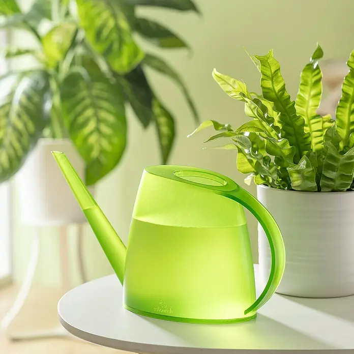 Scheurich Gießkanne Lilly - Clear Lime, 1,5 l - Grüne Gießkanne von Scheurich, halb gefüllt mit Wasser, steht auf einem Tisch vor Zimmerpflanzen.