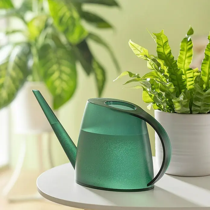 Scheurich Gießkanne Lilly - Clear Viridian, 1,5 l - Grüne Gießkanne auf einem Tisch, teilweise gefüllt mit Wasser, umgeben von Zimmerpflanzen im Hintergrund für die Bewässerung der Pflanzen.
