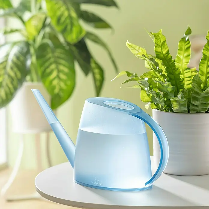 Scheurich Gießkanne Lilly - Clear Topaz, 1,5 l - Nahaufnahme einer hellblauen Gießkanne auf einem Tisch, gefüllt mit Wasser, umgeben von grünen Pflanzen, ideal für die Zimmerpflanzenpflege.