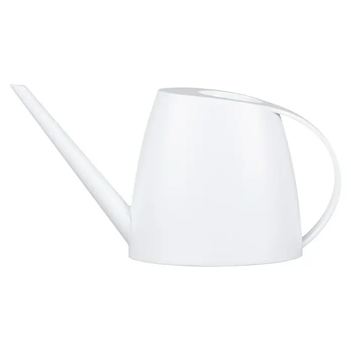 Piardino Kentiapalme (Howea forsteriana, Topfgre: 21 cm, 1 Pflanze) |  BAUHAUS