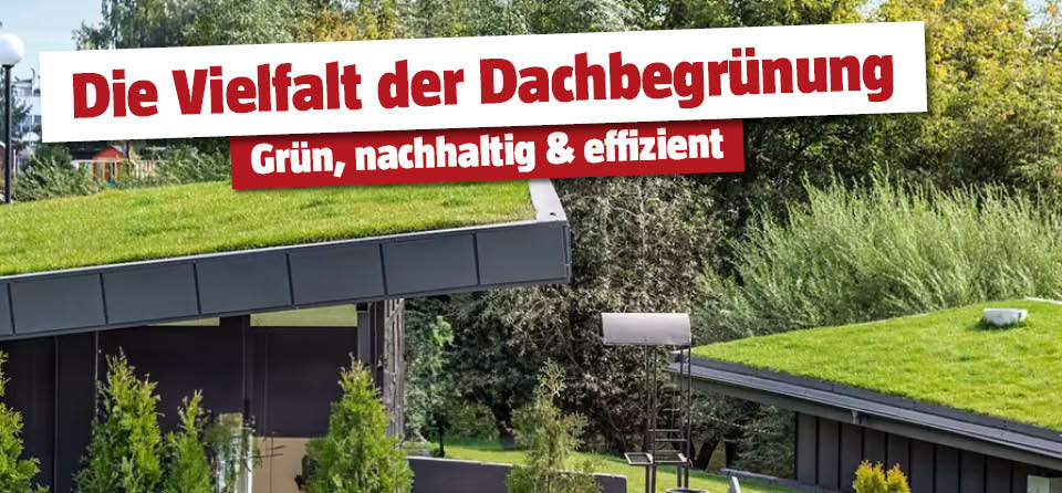 Dachbegruenung