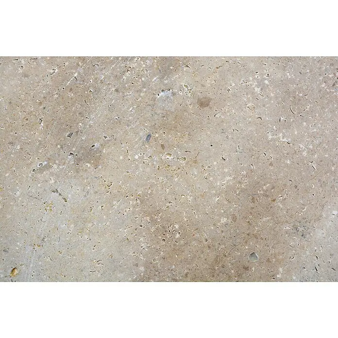 Antikmarmorfliese Travertin Chiaro - 30,5 x 30,5 cm, Beige, Matt - Nahaufnahme einer hellbraunen Travertin-Natursteinoberfläche mit kleinen Löchern und natürlichen Mustern für Bodenbeläge und Wandverkleidungen.
