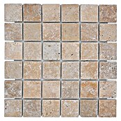 Mosaikfliese Quadrat XNT 46048 (30,5 x 30,5 cm, Beige, Matt)